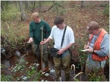 AU students sampling local wetland